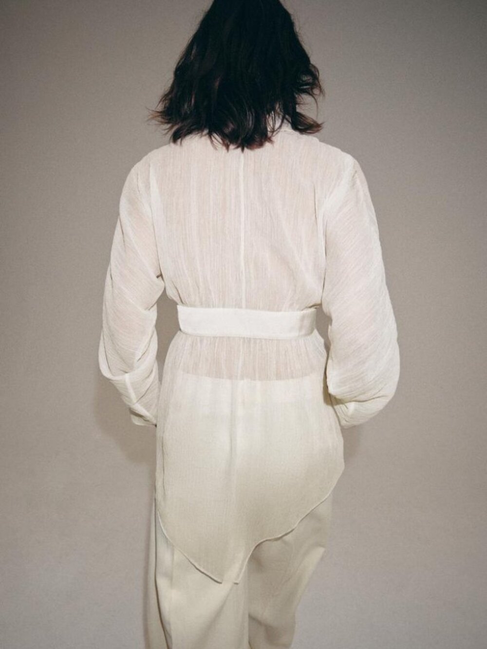 Zara Sheer Cream Button-Front Blouse - Picture 4 of 10